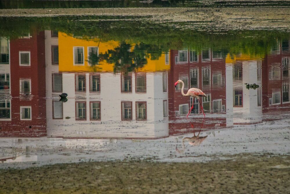 Photograph by Zinda Shaik Mohideen M
