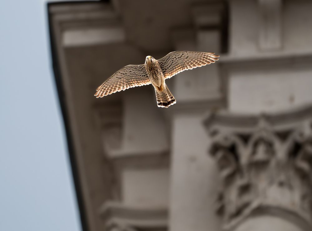 Photograph by Шульгин Вадим