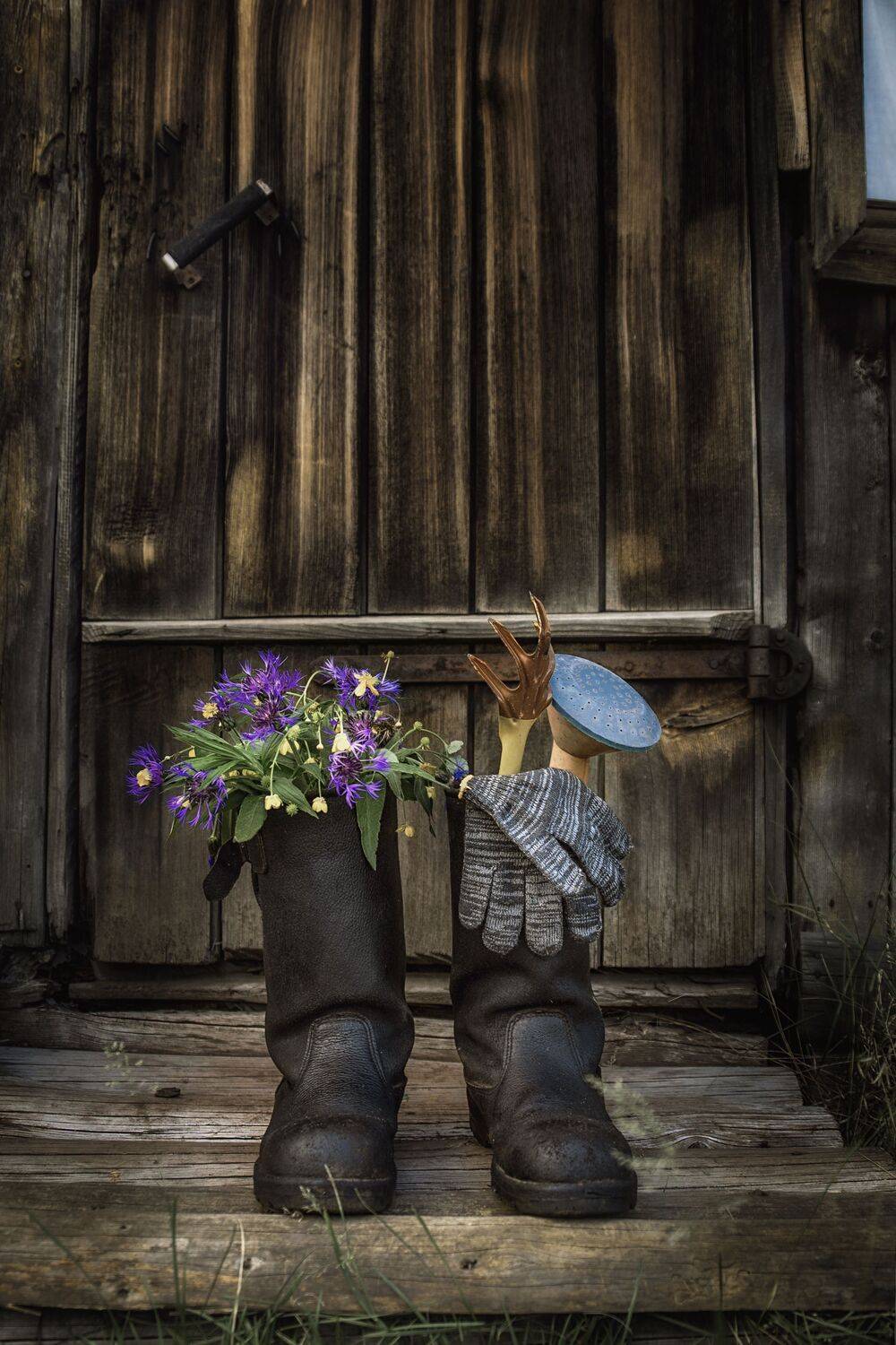 Photo #13703435