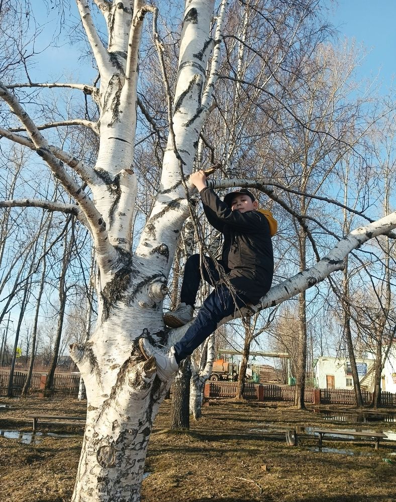 Фотография автора Анна Топольницкая
