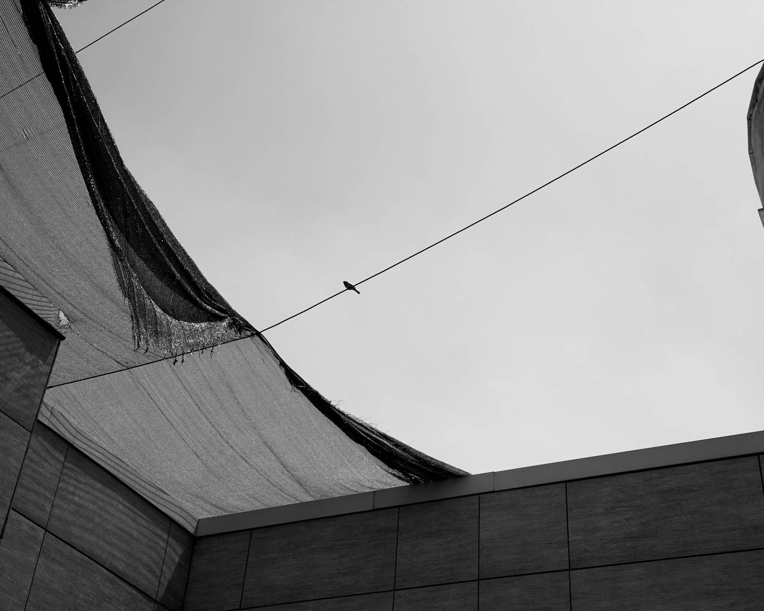 Photo #13703611