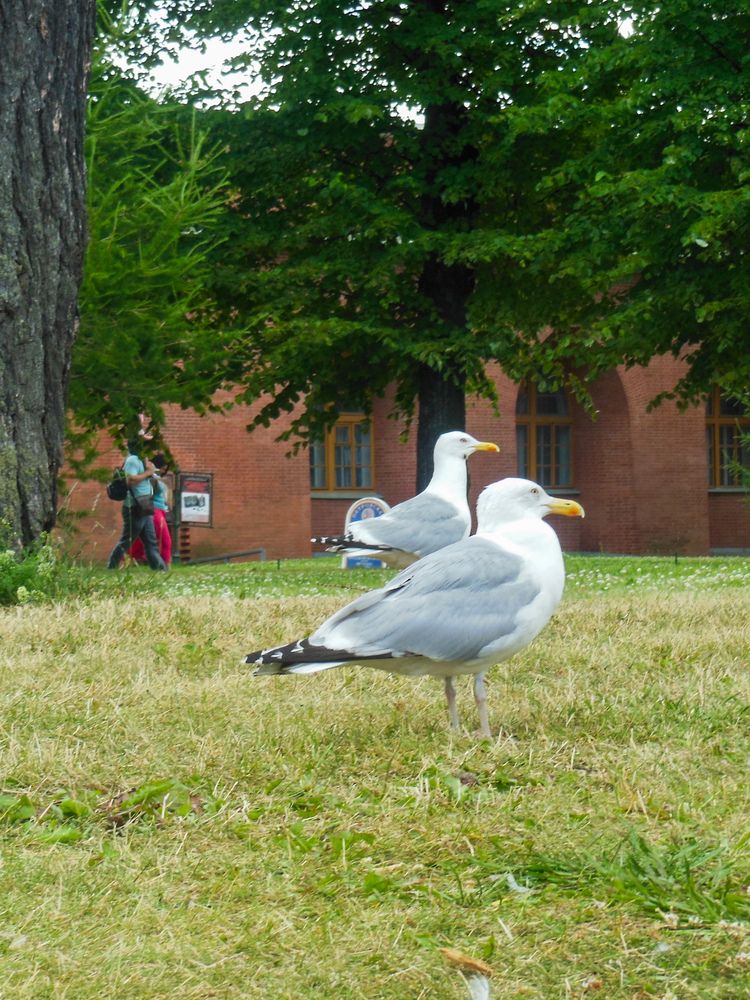 Photograph by Владимир Хохлов