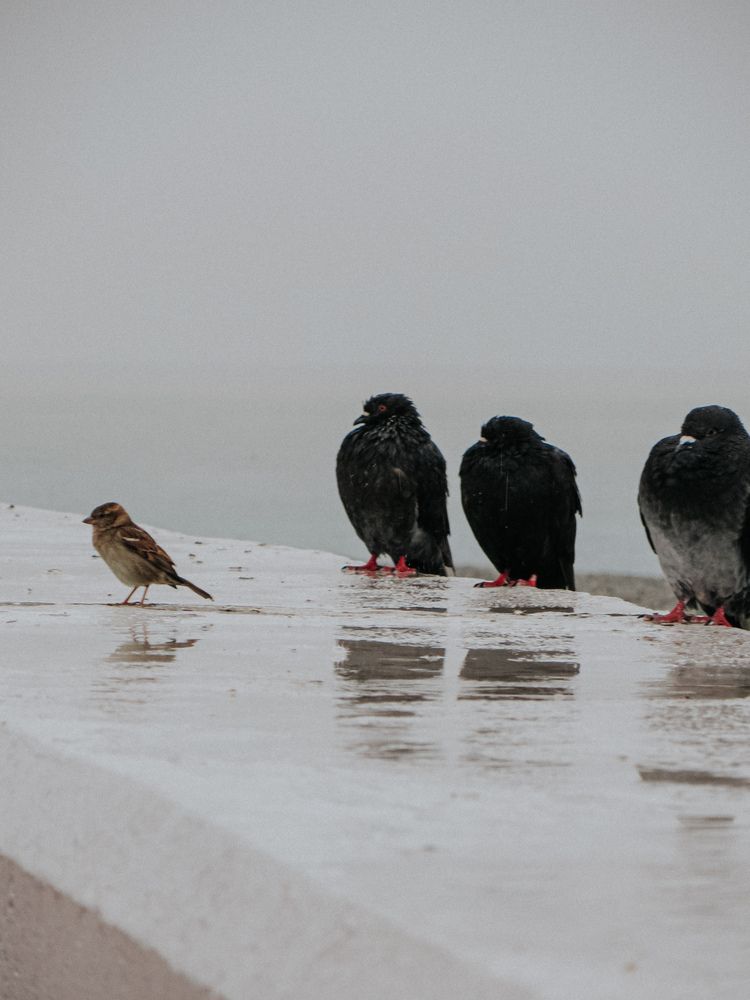 Photograph by Александра