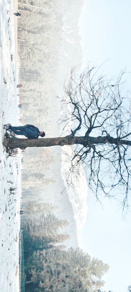 Photo #13703795