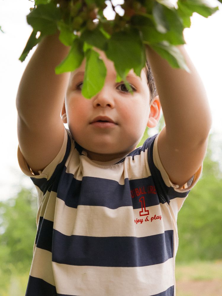 Photo #13703831