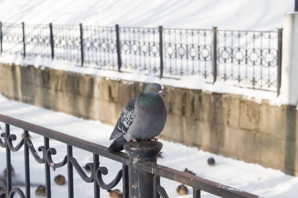Photograph by Александр Суворов