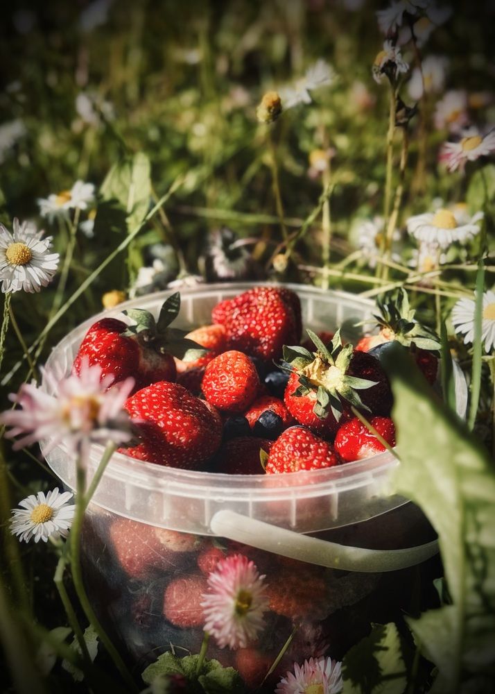 Photograph by Юлия Чернышёва