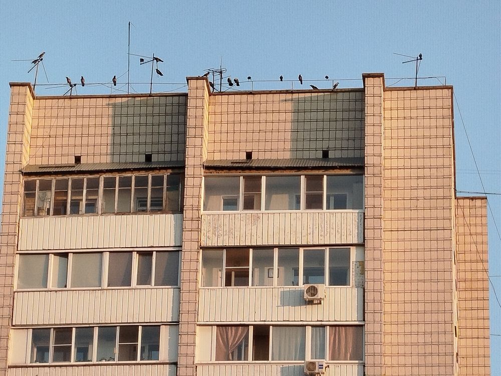 Photograph by Елена Алешкевич