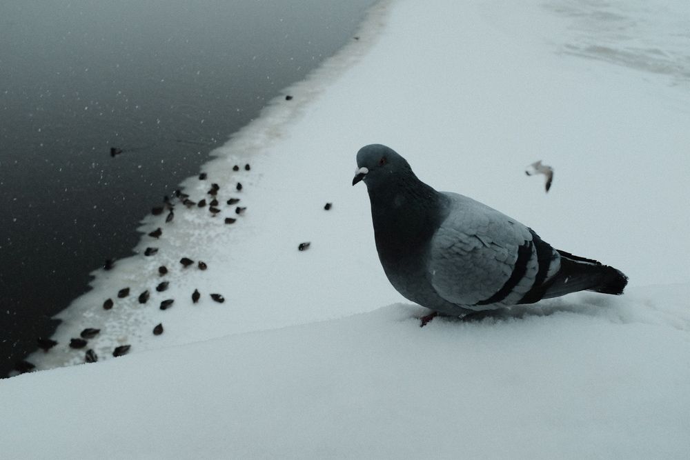 Photograph by Семен Батов