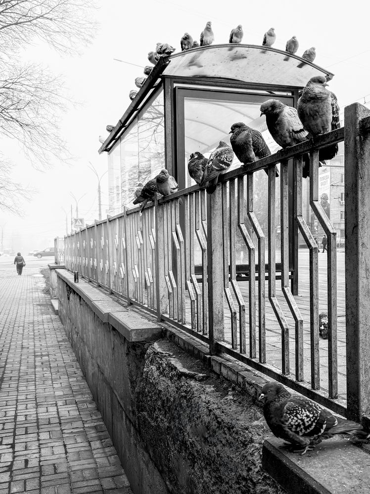 Фотография автора Графов Борис