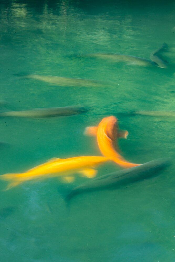 Photograph by София Серёжечкина