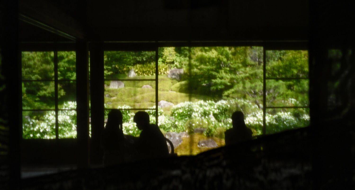 Veiled Garden