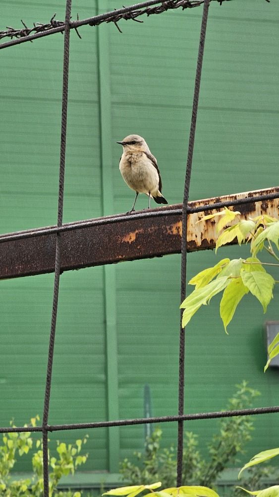Photograph by Михаил Трусов