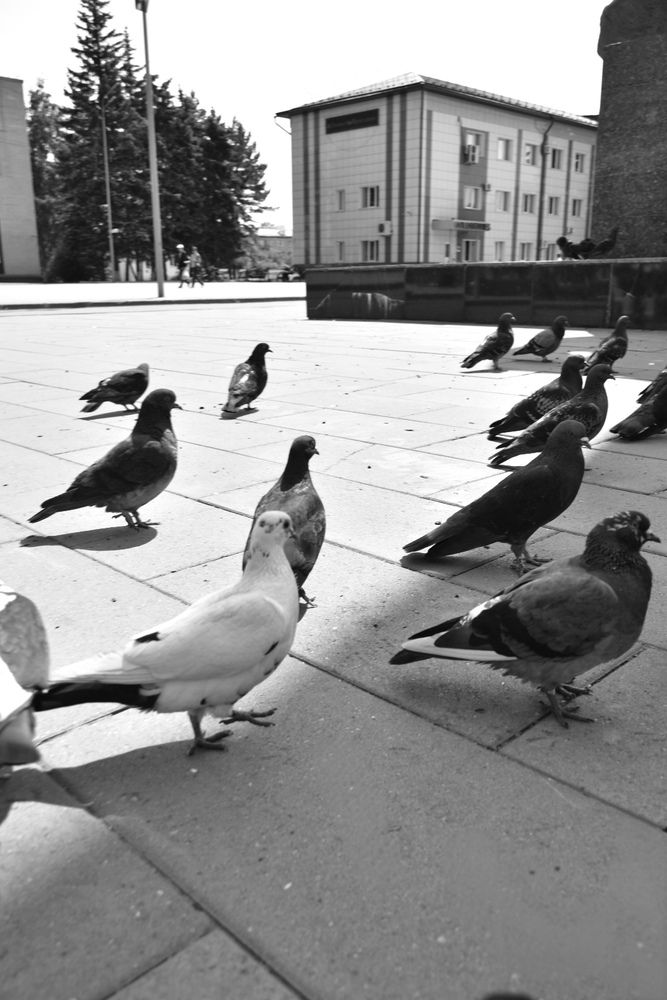 Photograph by Ольга Булдакова