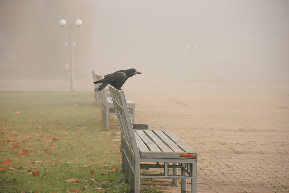 Photograph by Андрей Куракин