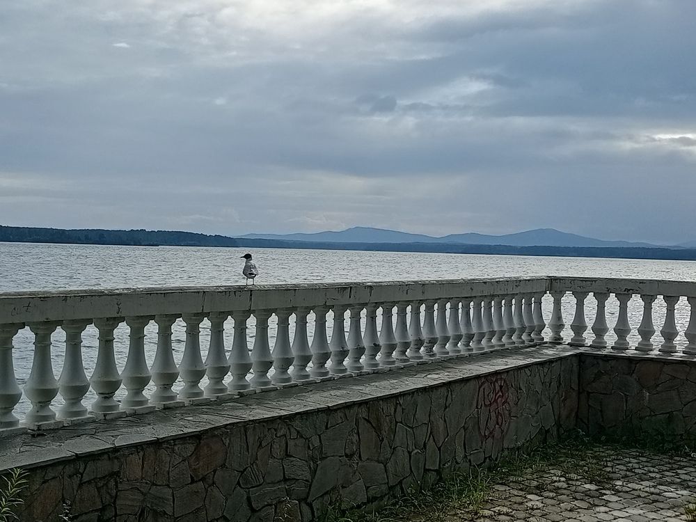 Photo #13704120