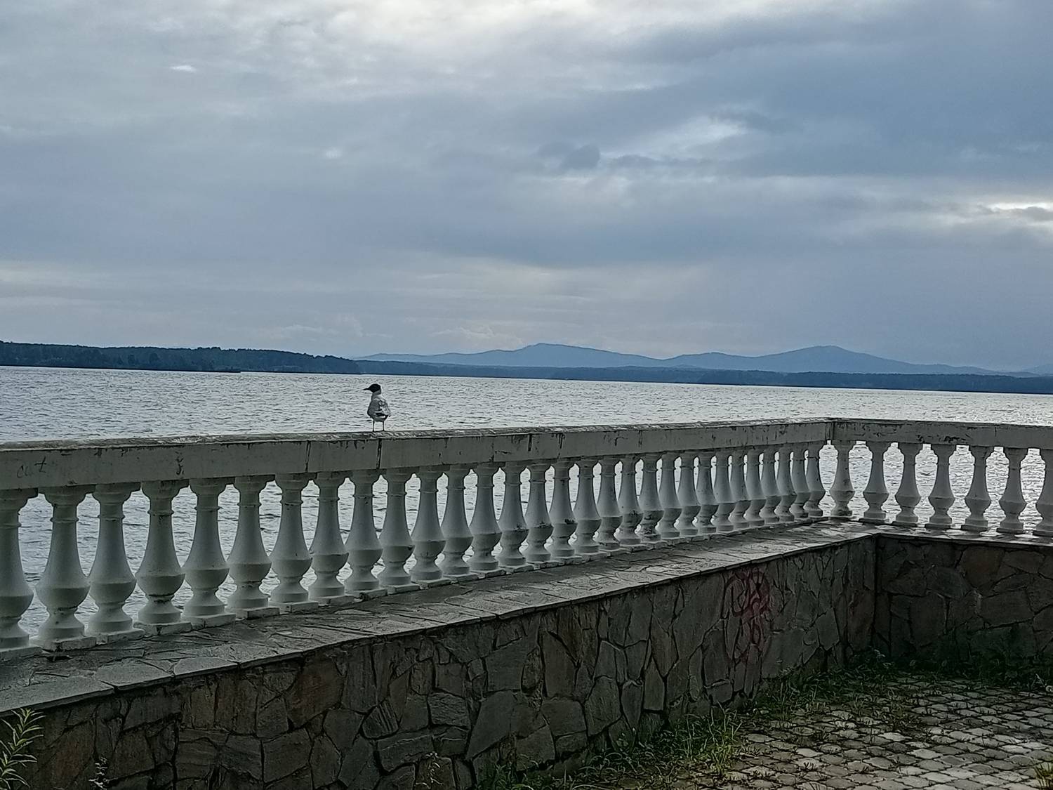 Photo #13704120