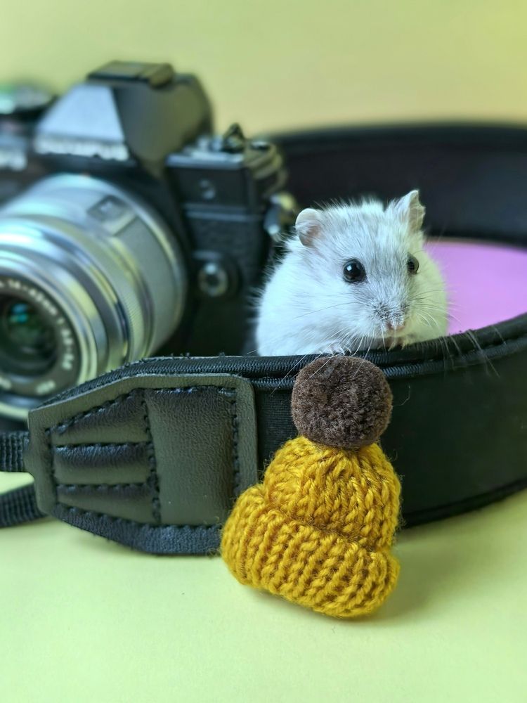 Фотография автора Жереченко Юлия