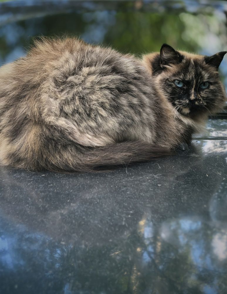 Photograph by Жереченко Юлия