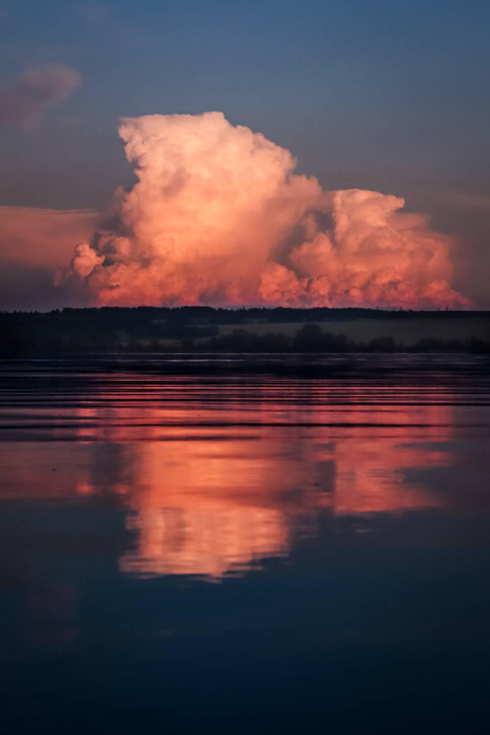 Photo #13704249