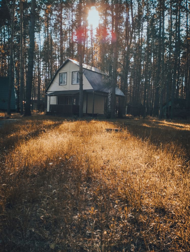 Photograph by Петр Тремасов