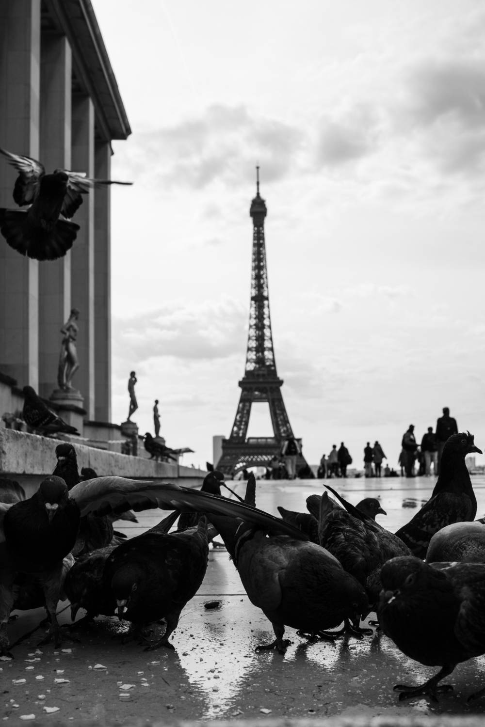Photo #13704266