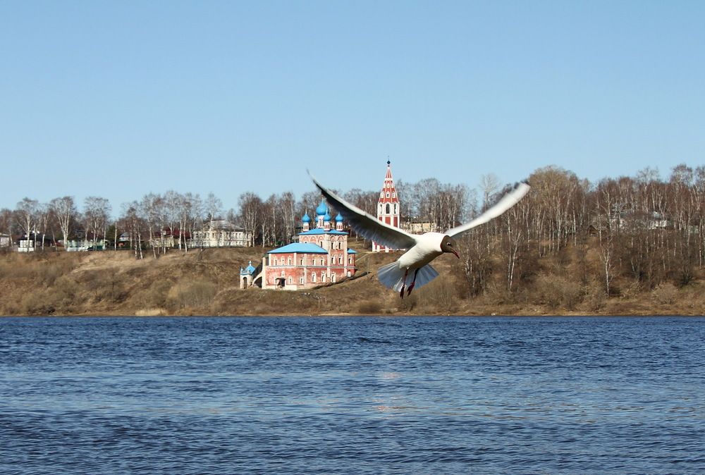Photo #13704330
