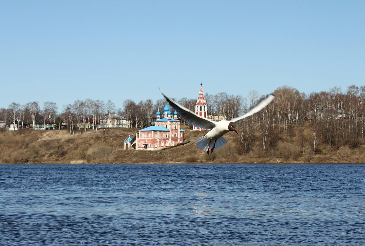 Photo #13704330