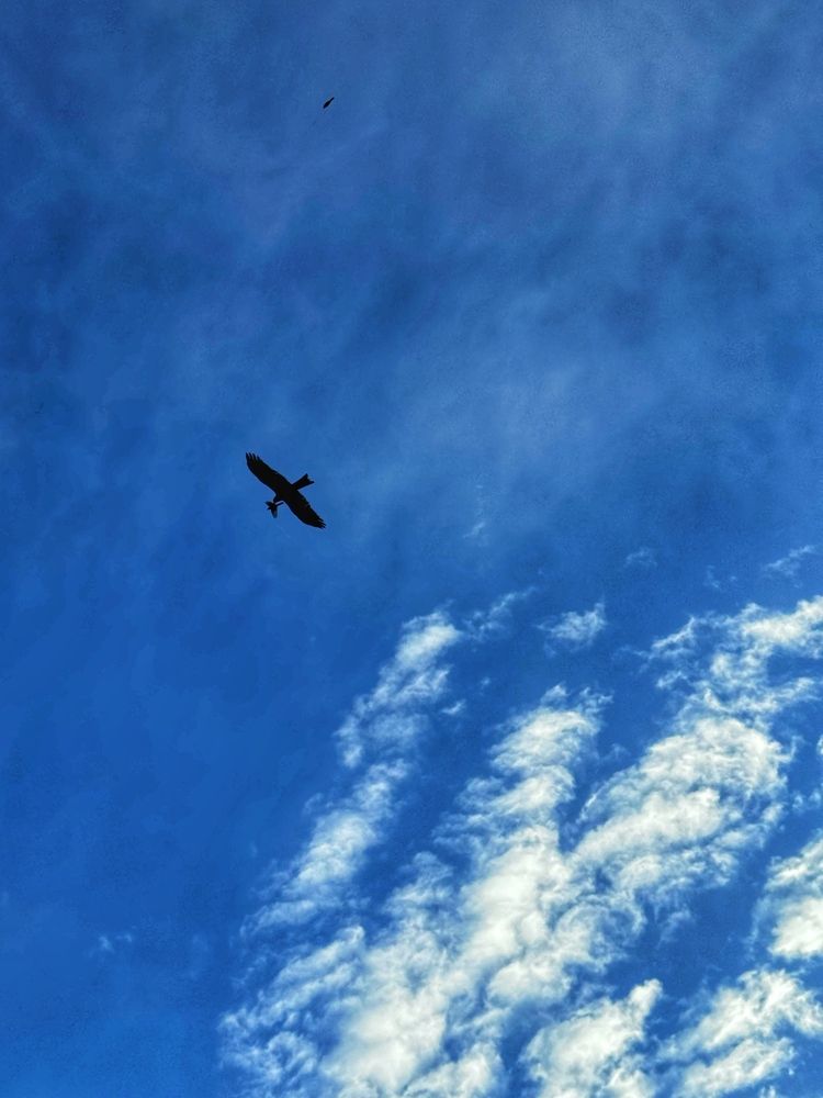 Photograph by Наталья Виноградова