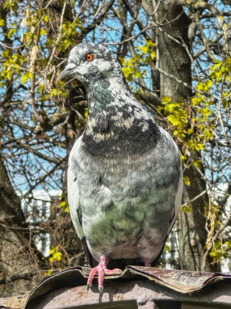 Photograph by Наталья Виноградова