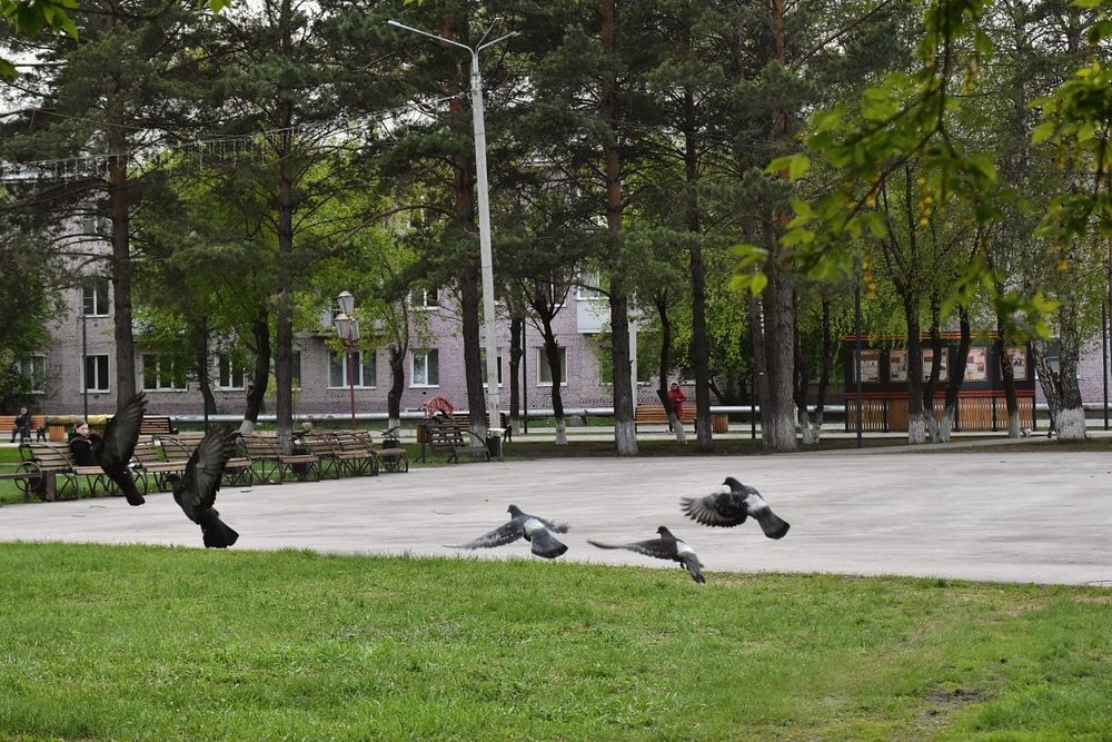 Photograph by Ольга Булдакова