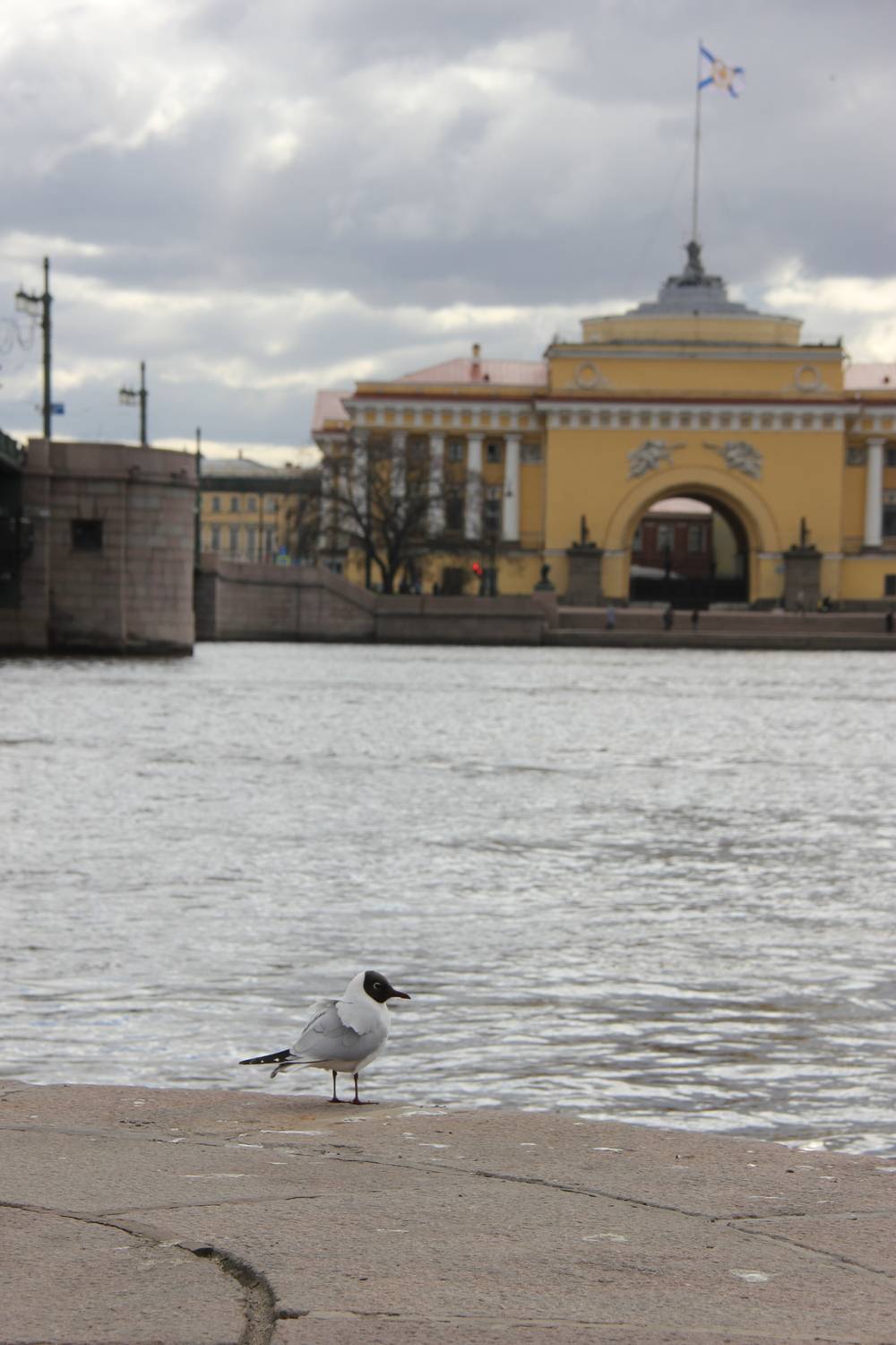 Photo #13704445