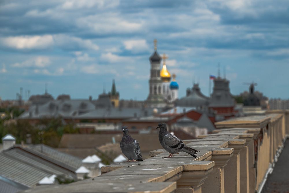 Photograph by Мирзаалиев Сергей