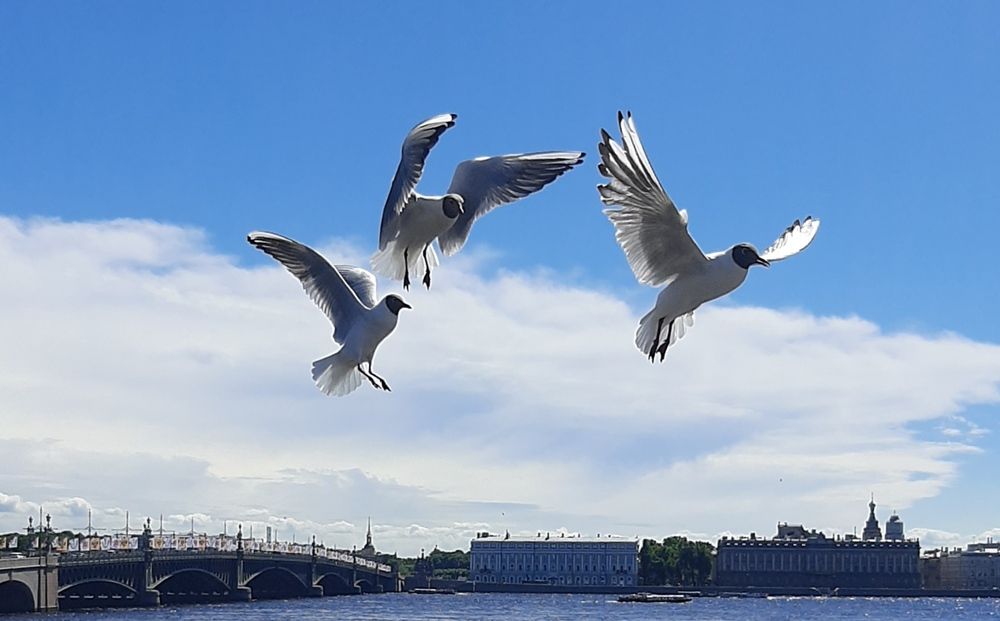Photograph by Ия Энгельгардт (Левина)