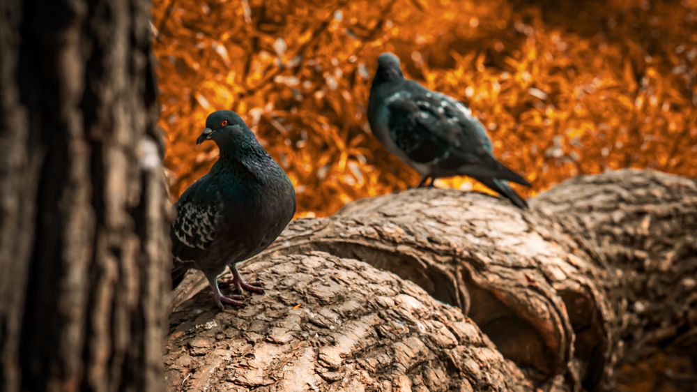 Photograph by Евгений Конов