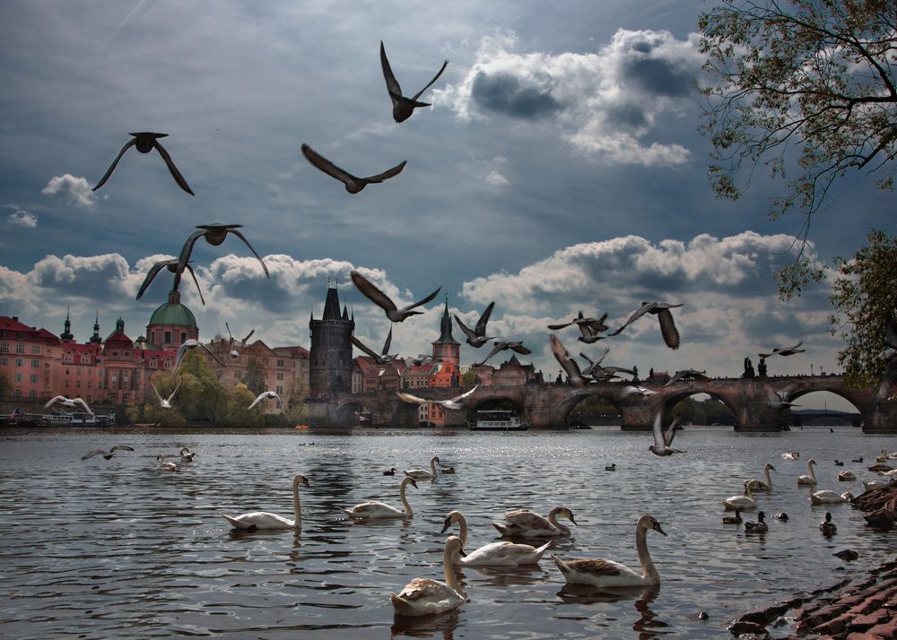 Photograph by Светлана Алексеева