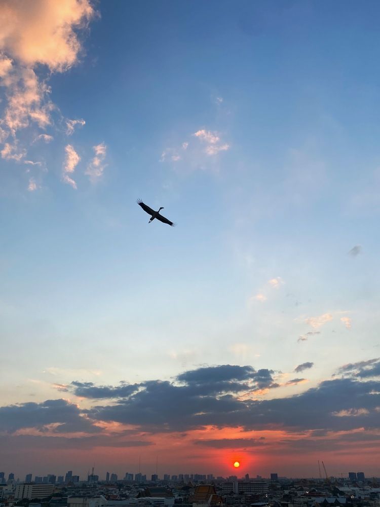 Photograph by Vyacheslav Borodin