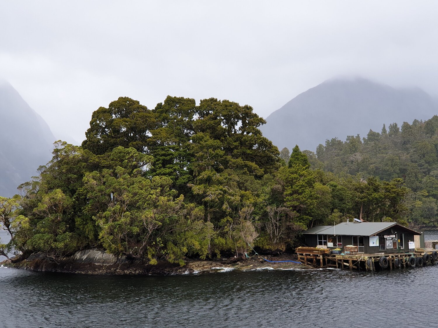 Green Island New Zealand