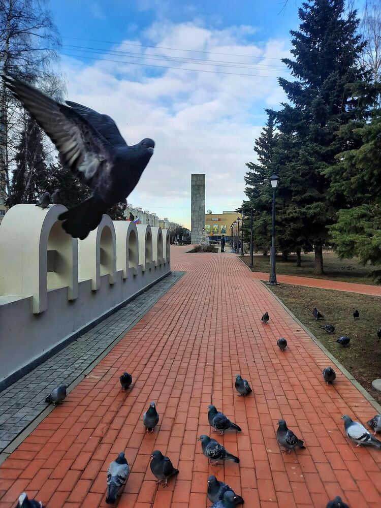 Photograph by Ольга Перкальска