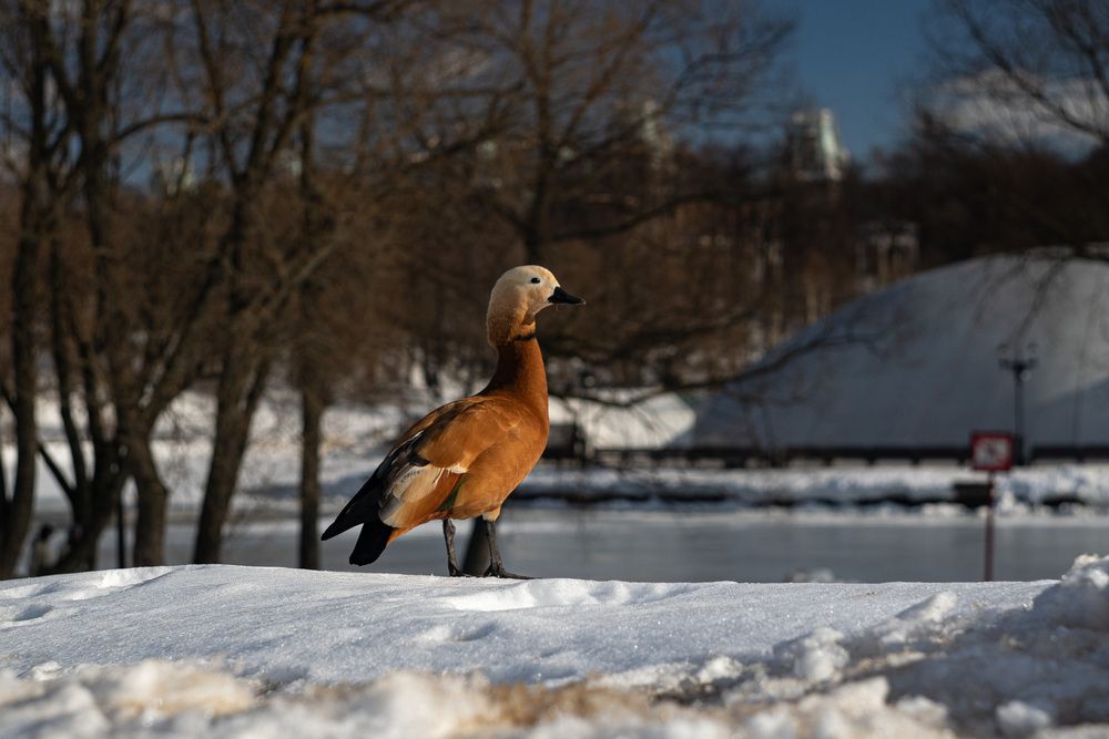 Photograph by Иван Куликов