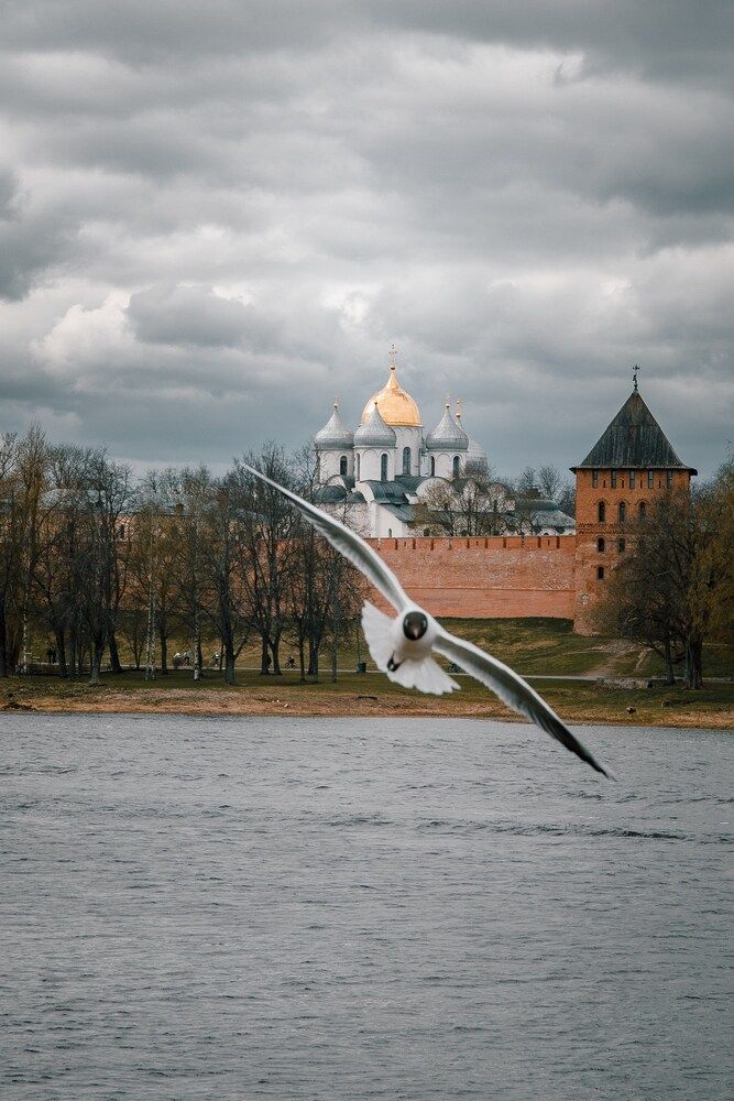 Photograph by Белокуров Сергей
