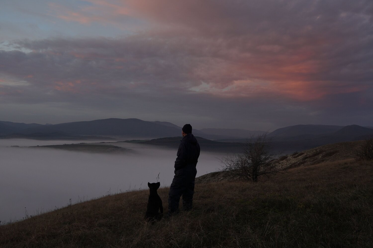 Photo #13704787