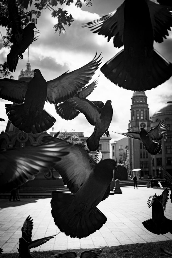 Photograph by Иван Куликов