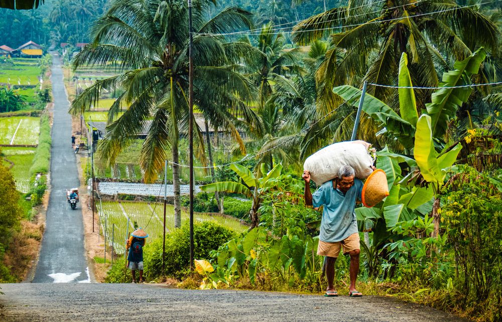The Long Road Home