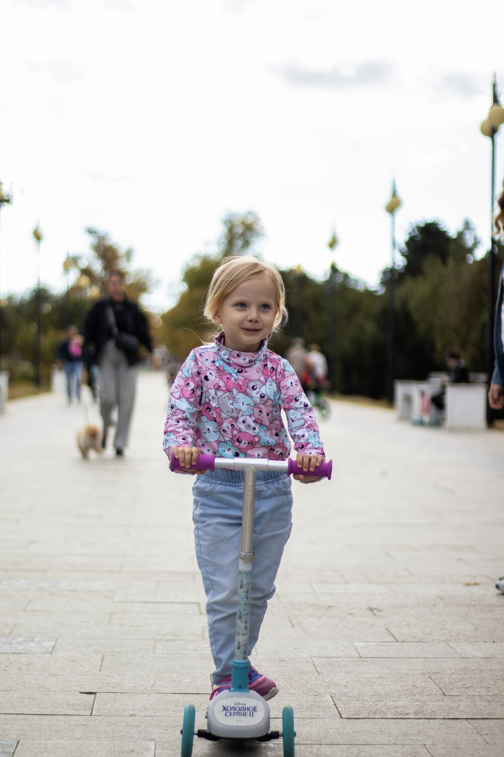 Photo #13704931