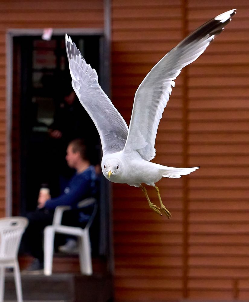 Photograph by Андрей Некрашевич