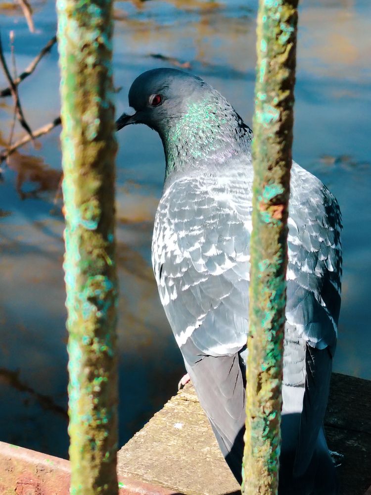 Photograph by Lyudmila Lebedeva