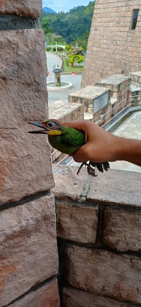 Photo #13705061