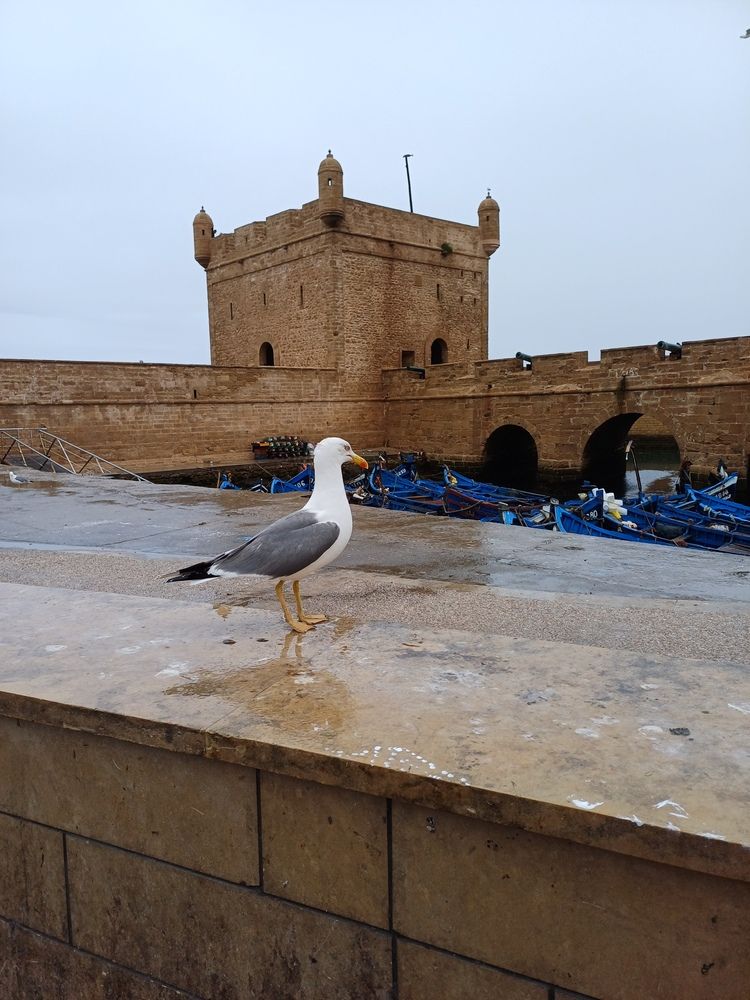 Photo #13705076