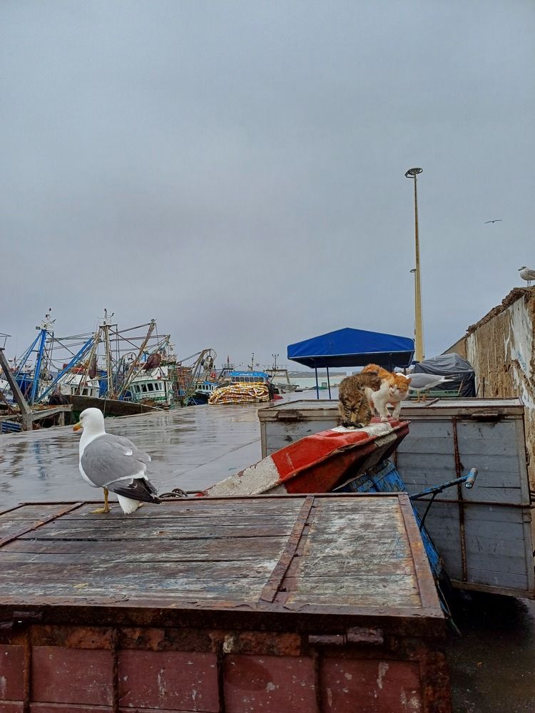 Photograph by Любовь Филиппова